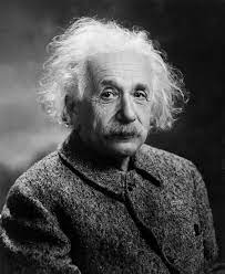 albert-einstein-formation-focus albert-einstein-formation-focus