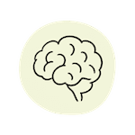 Dessin d'un cerveau